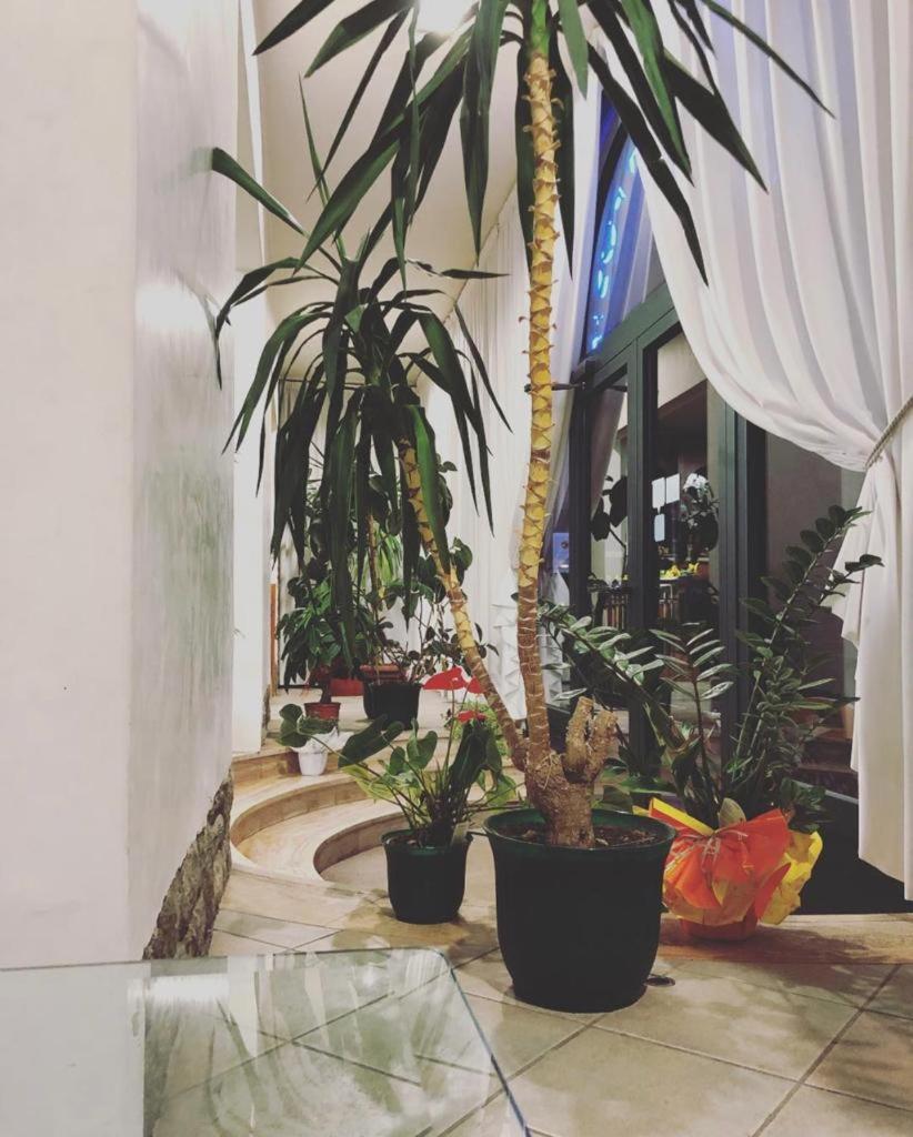 Albergo La Posta Arezzo Badia Al Pino Exteriör bild